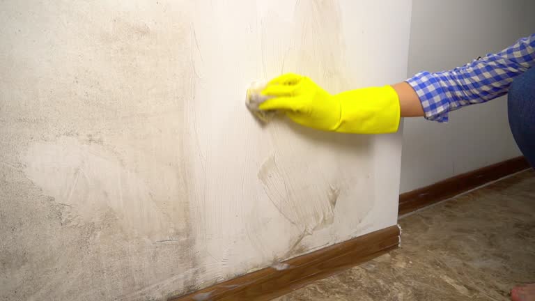 Best Biohazard Mold Removal  in Selbyville, DE